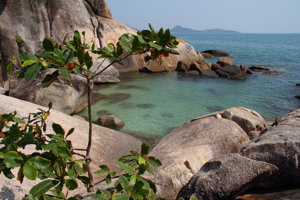 Vraiment chouette ce forum-koh-samui0028.jpg