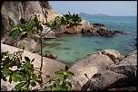 Vraiment chouette ce forum-koh-samui0028.jpg