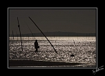 300D/10D-1495.jpg