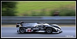 -photo-365.jpg