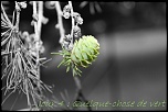 30 Days photography challenge