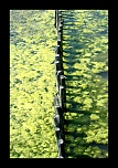 -img_8909.jpg