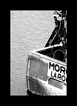 -img_8799.jpg