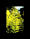 -img_8620.jpg