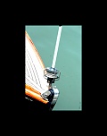 -img_8846.jpg