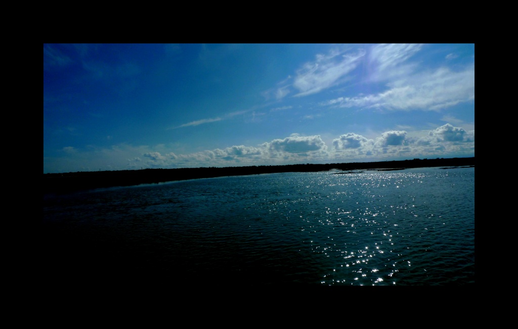 -l1000705.jpg