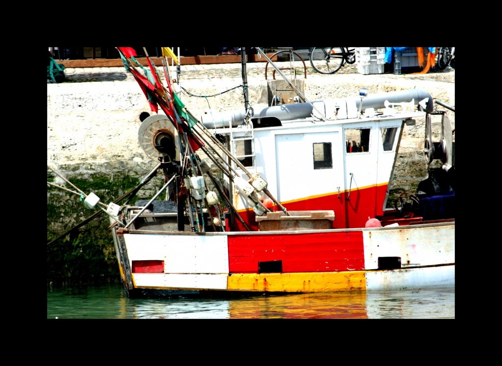 -img_8794.jpg