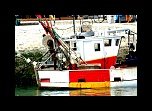 -img_8794.jpg