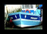 -img_8804.jpg