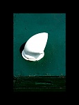 -img_8745.jpg