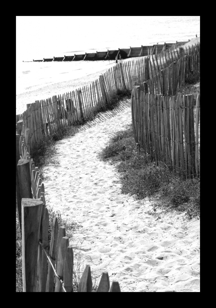 -img_8681.jpg