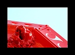 -img_8892.jpg