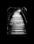 -img_8626.jpg