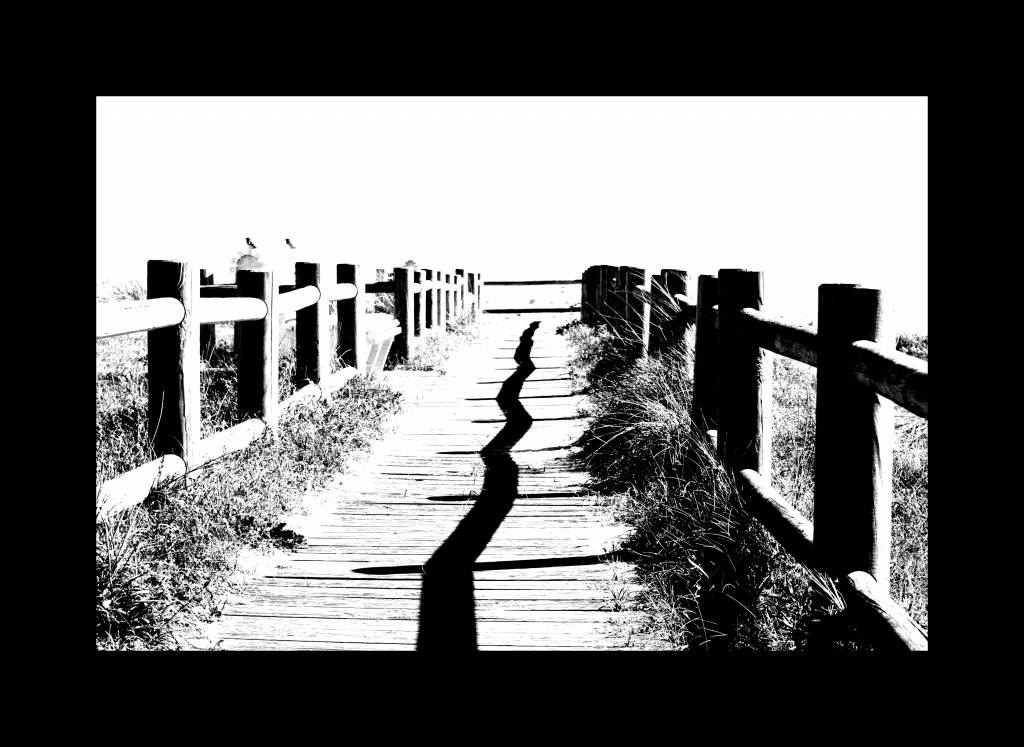 -img_8575.jpg