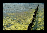 -img_8914.jpg
