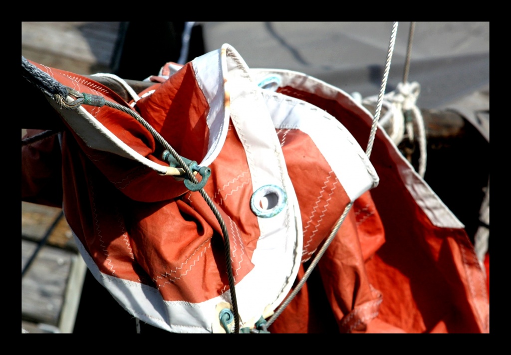 -img_8739.jpg