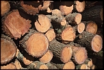 Aberrations chromatiques-1555.jpg