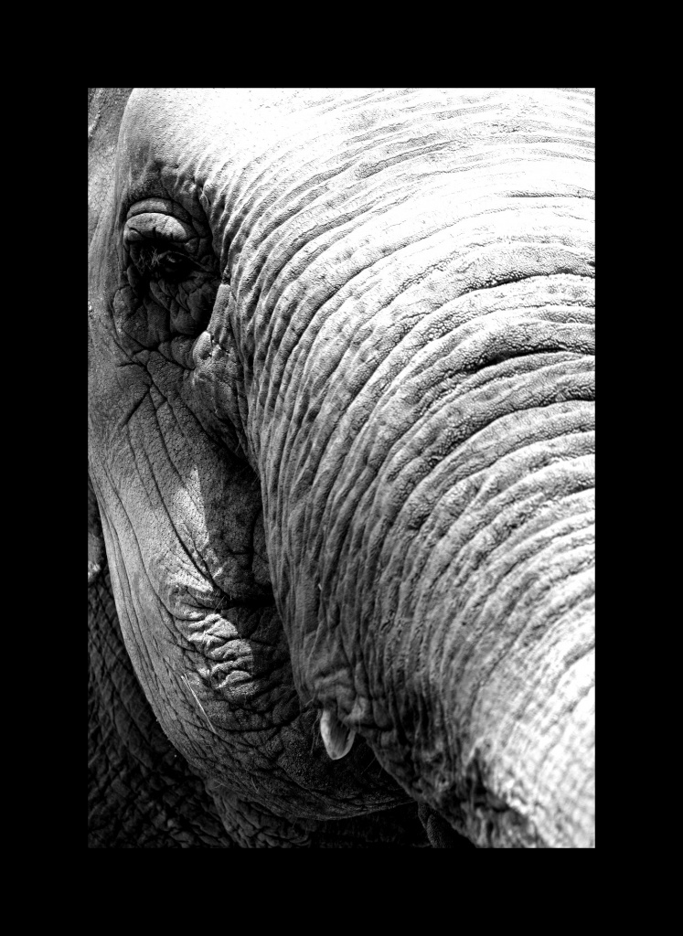 IMG 9071
