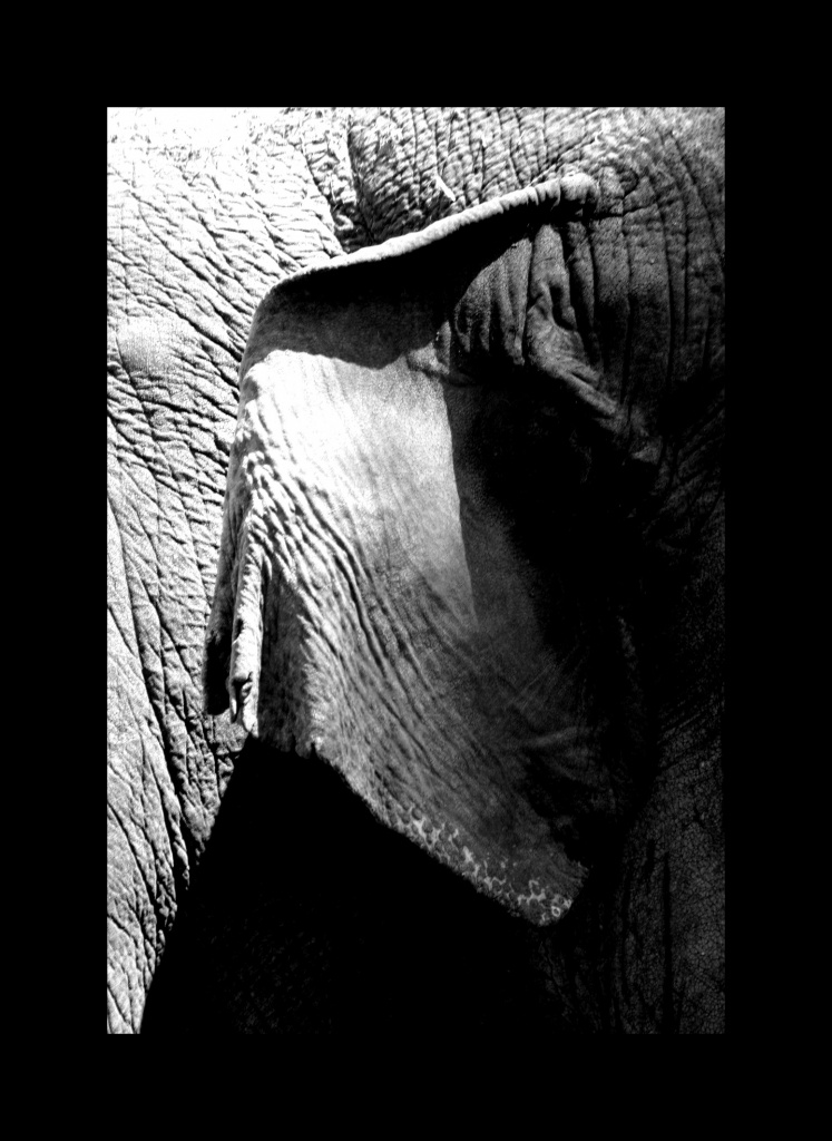 IMG 9058