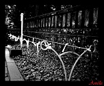 comment signer ses photos...-5729_1132591608700_1644577728_359703_6870310_n.jpg