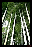 comment signer ses photos...-5729_1132583968509_1644577728_359625_7076418_n.jpg