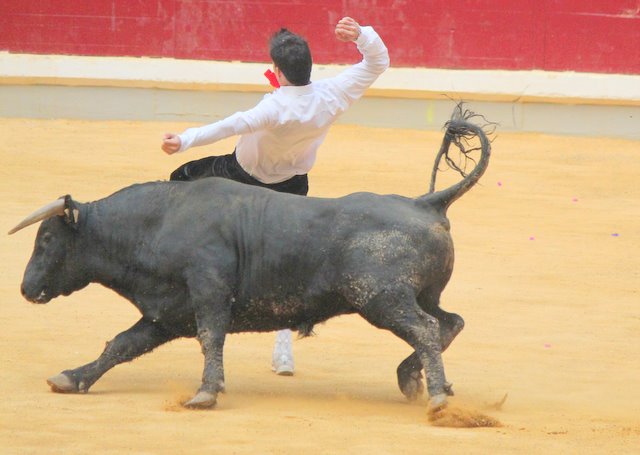 -logrono-junio-2011-194.jpg