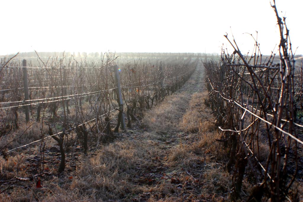 comment signer ses photos...-20110223005-large-.jpg