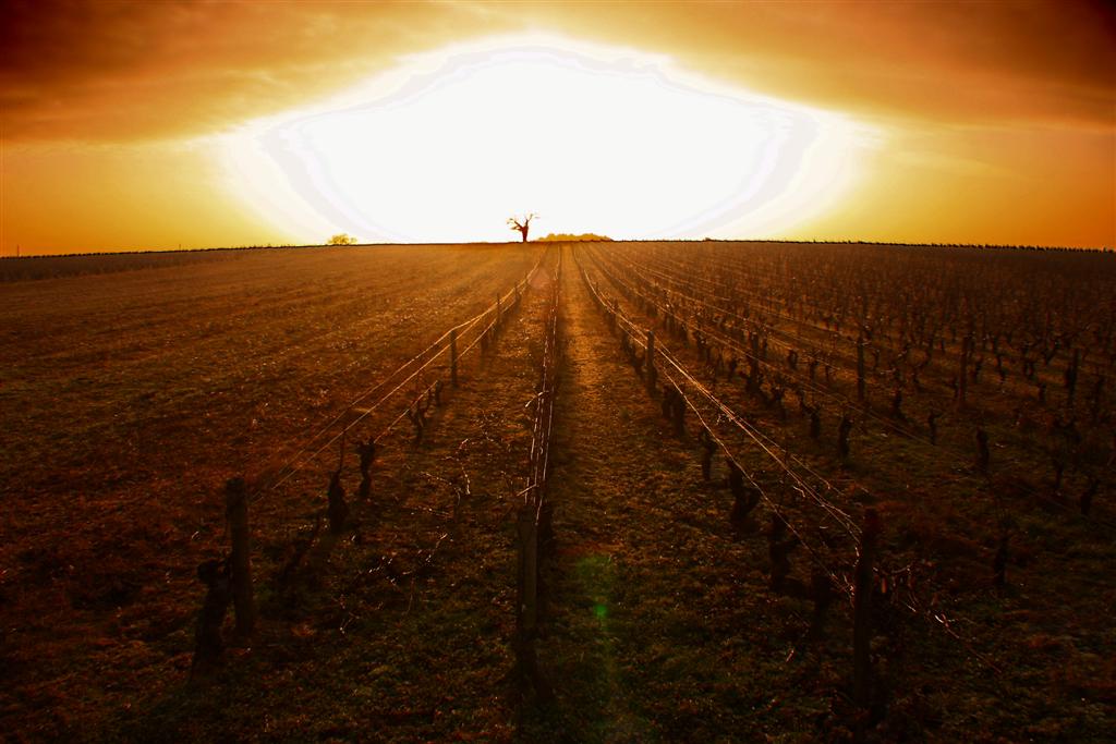 comment signer ses photos...-20110223025-large-.jpg