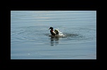 comment signer ses photos...-mai-2011-canon-569.jpg
