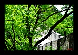 comment signer ses photos...-chine-pekin-2011-087.jpg