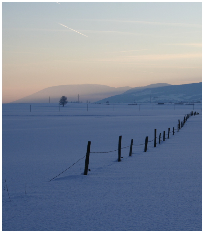 Hiver au Val-de-Ruz
19.02.09 018