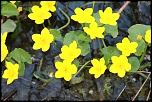 -img_0797.jpg