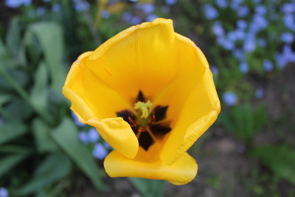 -img_0799.jpg