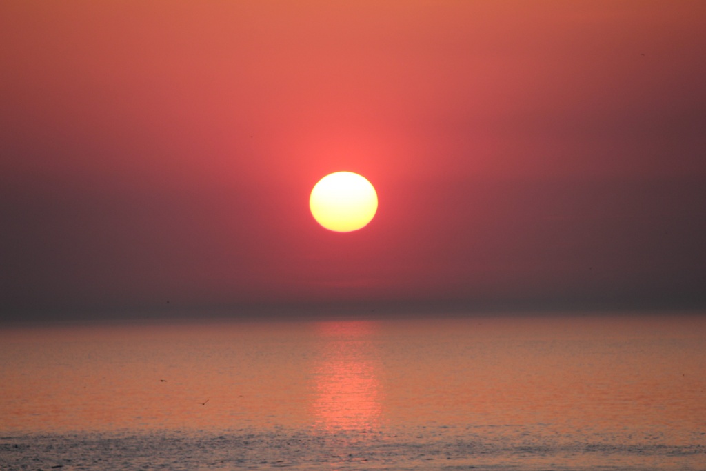 -img_0829.jpg