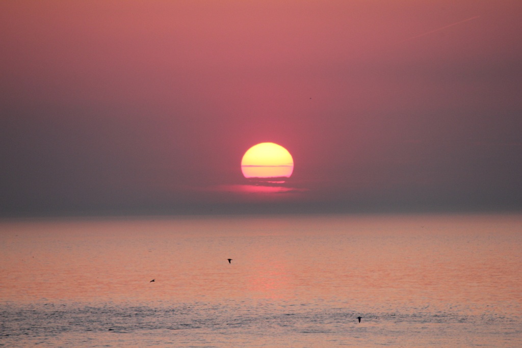 -img_0834.jpg