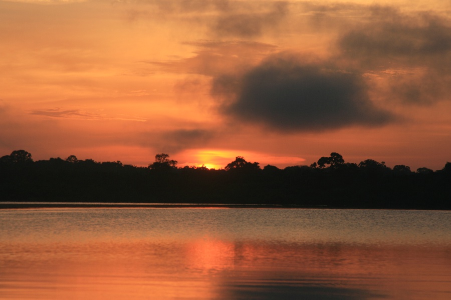 Lever du soleil sur le Rio Ngro