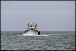 -img_3276_1.jpg