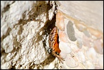 -img_5003.jpg