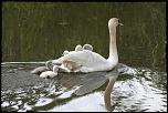-img_6991.jpg