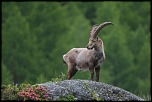 -img_5721-version-2.jpg