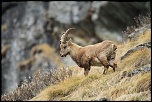 -img_6454.jpg