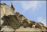 -img_6331.jpg