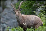 -img_5677.jpg