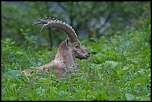 -img_5709.jpg