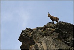 -img_6371.jpg