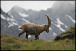 -img_2333.jpg