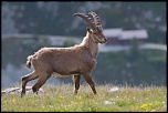 -img_5628.jpg