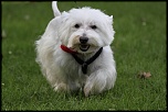 -img_4208.jpg