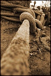 -img_0967.jpg