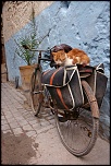 -img_8233.jpg